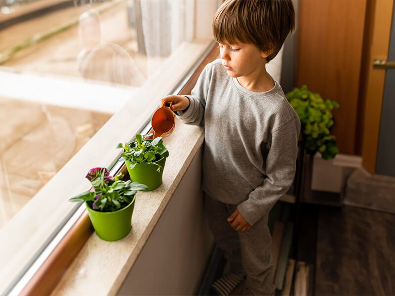 Criança regando as plantas